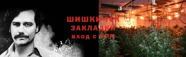 СК Волосово