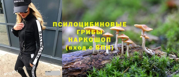 крисы Волоколамск