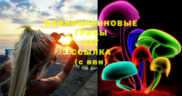 СК Волосово