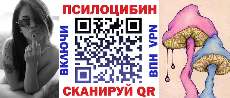 Псилоцибиновые грибы Psilocybe Тула